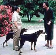 Toujours dans la srie Magnum, un autre fort clbre duo, tout aussi piquant, auquel d'ailleurs Magnum n'aime pas du tout se frotter ! Ce sont les dobermans prnomms ?