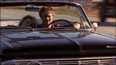 De quelle saison provient cette capture ?