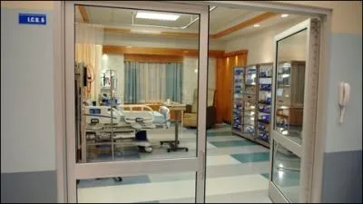 Combien de membres de la famille SCOTT ont dj effectu un sjour  l'hpital en tant que patients ? (y compris les naissances)