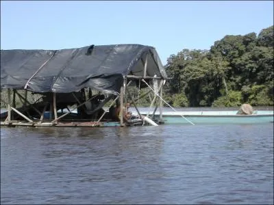 Le long de cette drague de chercheurs d'or, en Amazonie, vous pouvez voir passer ...