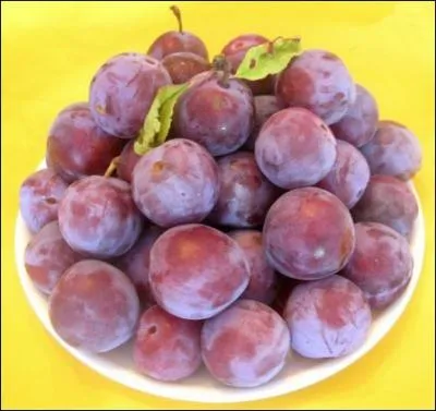 En argot qubcois, le nom de ce fruit dsigne une ecchymose. Que signifie-t-il en argot franais ?