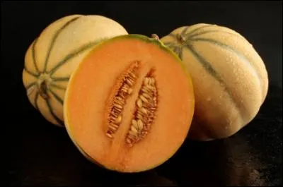 Quand il ne s'agit pas du fruit, que peut dsigner le nom de cette cucurbitace ?