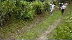 Par quels animaux les adolescents se font-ils poursuivre ?