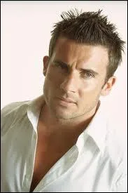 Quel est cet acteur qui a incarn Lincoln Burrows dans 'Prison Break' ?