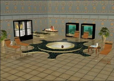 Dans les sims 3 ds, peut-on tre propritaire des lieux publics ?