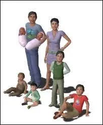 Dans les sims 3 pc, quel est le nombre de personnes maximal dans un foyer ?