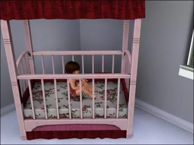 Dans les sims 3 pc, quel est le 2me stade de vie ?