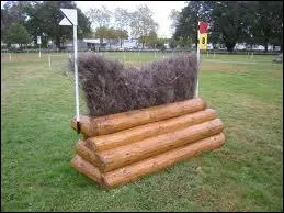 Quel est ce type d'obstacle ?