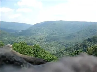 Dans quel tat amricain est-il n ?