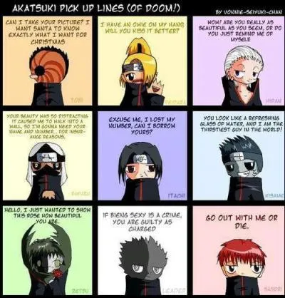 Qui n'a jamais fait partie de l'Akatsuki ?
