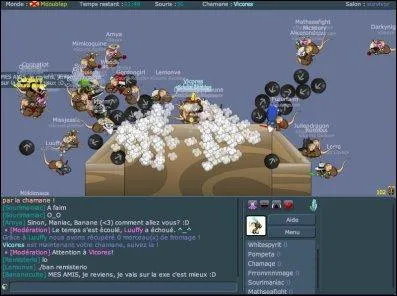 Que doit-on faire dans le salon survivor ?