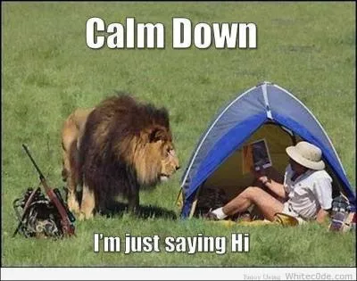 Regardez bien la photo de cette partie de chasse, quels mots vous paraissent convenir ?