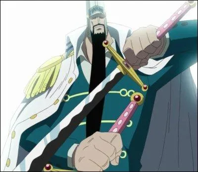 Dans le monde de One Piece, qui est cet homme ?