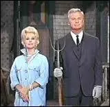 Un couple charmant pour une srie ancienne mais hilarante, qui amne Oliver et Lisa Wendell Douglas  quitter la grande ville pour un patelin et une ferme. Mais Lisa a une curieuse faon de s'adapter...