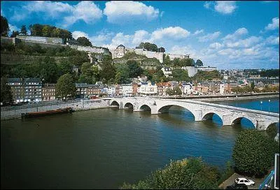 La Meuse prend sa source en France et traverse la Belgique et les Pays-Bas avant de se jeter dans la mer du Nord. Quelle ville belge arrose-t-elle ?
