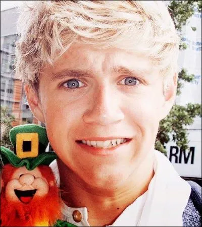 Par qui Niall serait-il sacrifi si il y avait une invasion d'extraterrestres ?