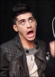 Sur la photo ou les 1D tiennent des pancartes comme 'I love you Harry ,  Zayn you're lush , etc... qu'y -t-il crit sur celle que tient Zayn ?