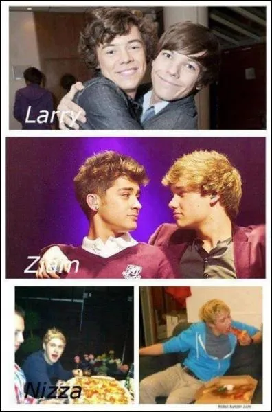 Dans une  Video Diary , pour rveiller Harry, Louis, Liam et Niall lui disent :