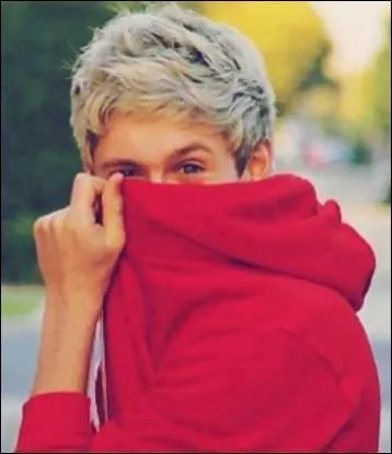 Quelle est la couleur prfre de Niall ?