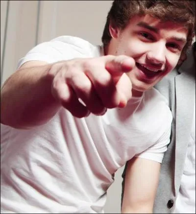 Quelle chanson a chant Liam  son audition  X-Factor ?