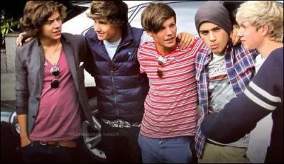 Avec quelle clbrit ont-ils chant  X-Factor ?