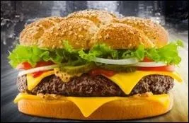 Comment s'appelle ce sandwich ?