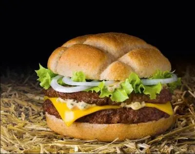 Comment s'appelle ce sandwich ?