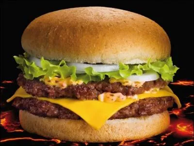Comment s'appelle ce sandwich ?