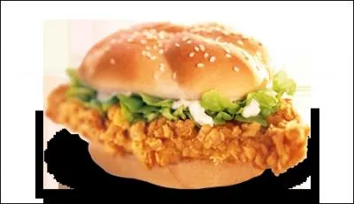 Quel est le nom de ce sandwich ?