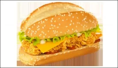 Quel est le nom de ce sandwich ?