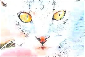 Oui, je l'ai remplace, je ne le mritait pas vraiment, j'ai mme eu en plus deux apprentis dans le cadre de mon grade . Qui suis-je ?