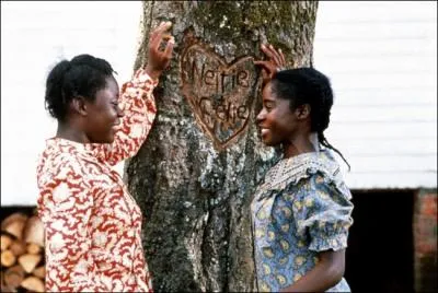 Ce film retrace l'histoire de deux soeurs, Celie et Nettie, dans le Sud profond des Etats-Unis. Elles sont spares ds l'adolescence  cause de la brutalit du fermier qui a achet Celie.