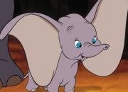Quiz Dumbo