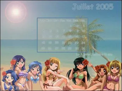 Est-ce bien le manga Mermaid Melody sur l'image ?