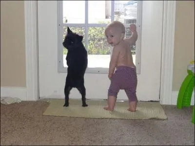 Coinc dans son fauteuil, aprs un accident, Jeff souponne un meurtre dans l'appartement d'en face !