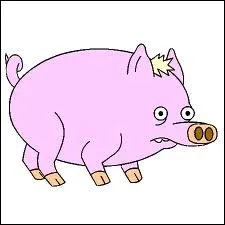 Quel fut le premier Hog Pen Match