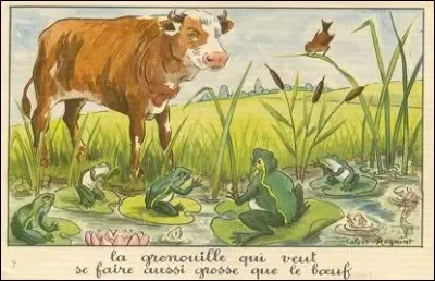 Pâté de poisson parfois servi chaud en Russie.