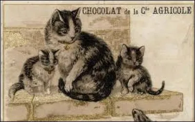 S'il n'est pas individu méprisable, il est cependant foulé aux pieds.