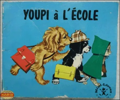 Le kéfir est une boisson.