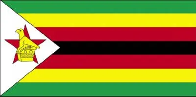 L'oiseau qui orne ce drapeau est l'emblème national de son pays, en souvenir de statues en pierre à savon datant des XIIe au XVe siècle, et représentant l'aigle bateleur. Quel est ce pays ?