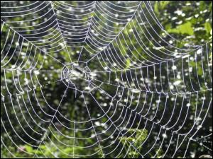 Quelle est la figure de style prsente dans la phrase d'Honor de Balzac  Les lois sont des toiles d'araignes,  travers lesquelles passent les grosses mouches et restent les petites.   ?