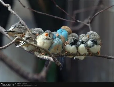 En 1986, ils prtendent que a les fait rire !