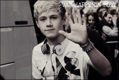 Qu'aime faire Niall ?