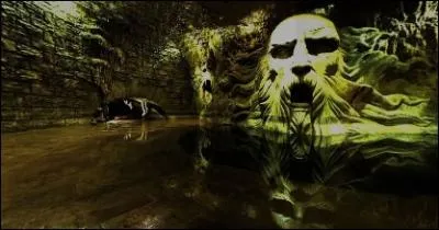 Quelle est l'lve de Poudlard qui ouvre la Chambre des Secrets ? (HP2)