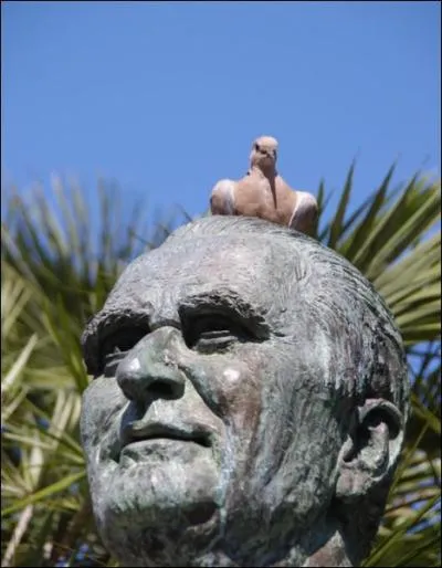 Quelle est son identit ?