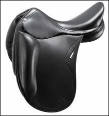 Quel est ce type de selle ?