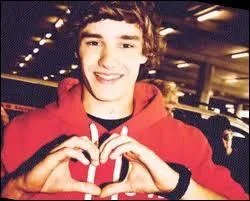 Liam est dcrit dans une des Video Diary comme ...