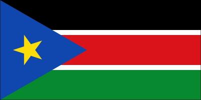  quel pays d'Afrique appartient ce drapeau ?