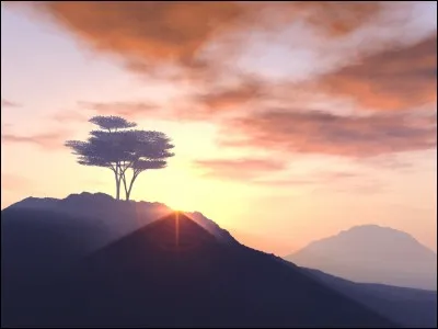 Que dit-on d'un parfum lourd produisant une certaine ivresse ?