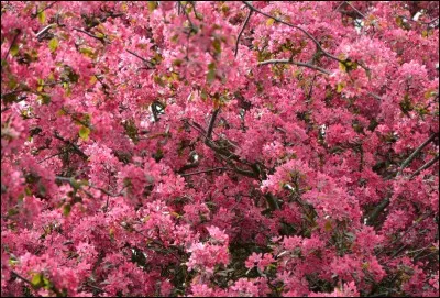 Celui-ci et celle-ci sont titulaires d'un diplôme en droit.